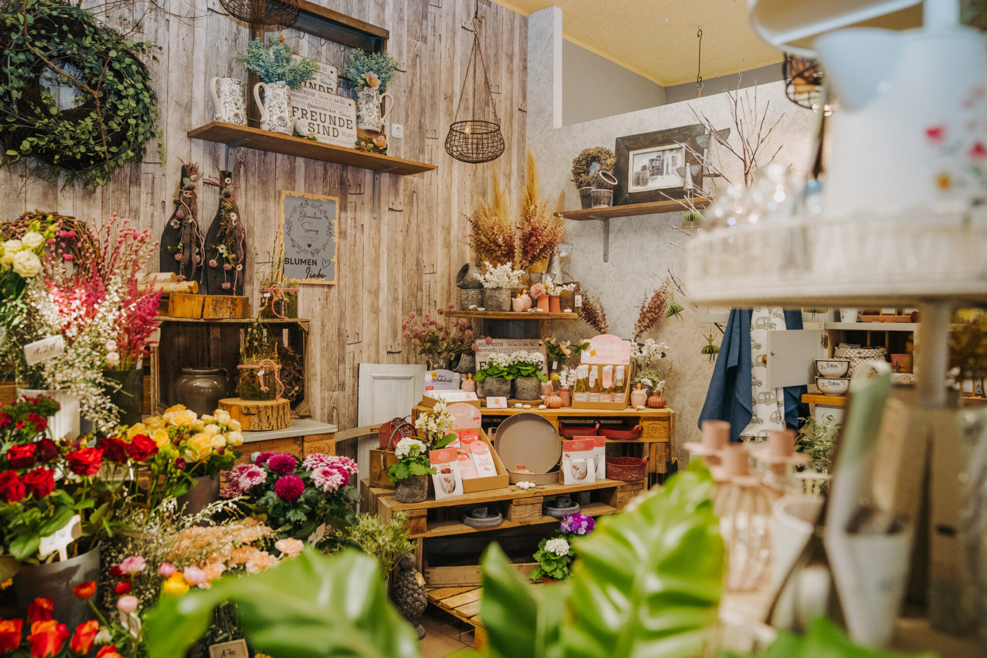 Business Fotografie Rügen