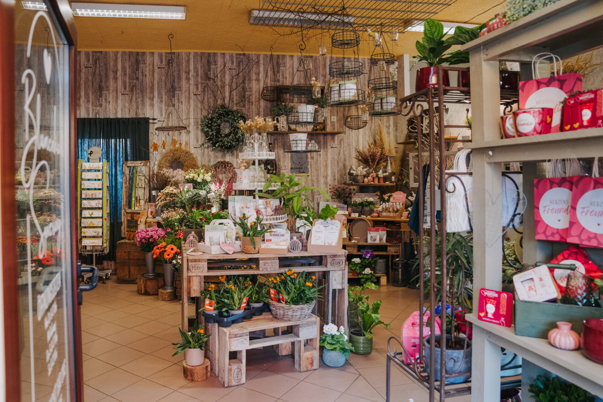 Business Fotografie Rügen