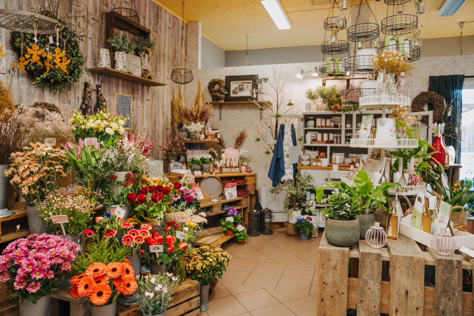 Business Fotografie Rügen